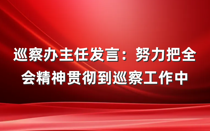 巡察办主任发言：努力把全会精神贯彻到巡察工作中