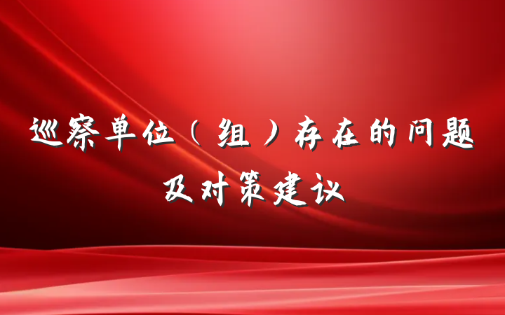 巡察单位（组）存在的问题及对策建议