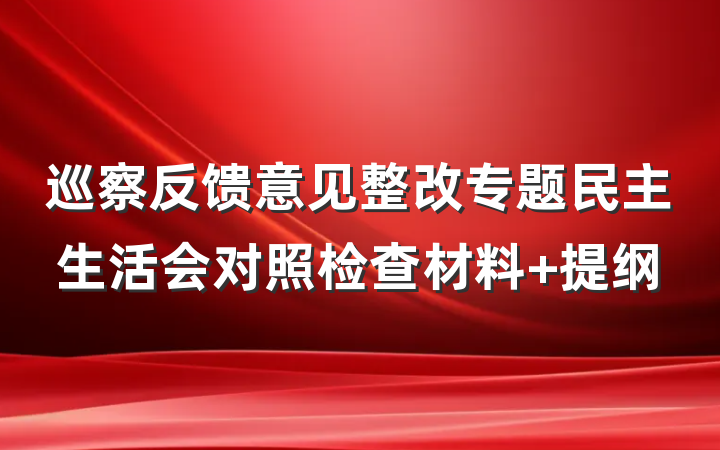 巡察反馈意见整改专题民主生活会对照检查材料 提纲