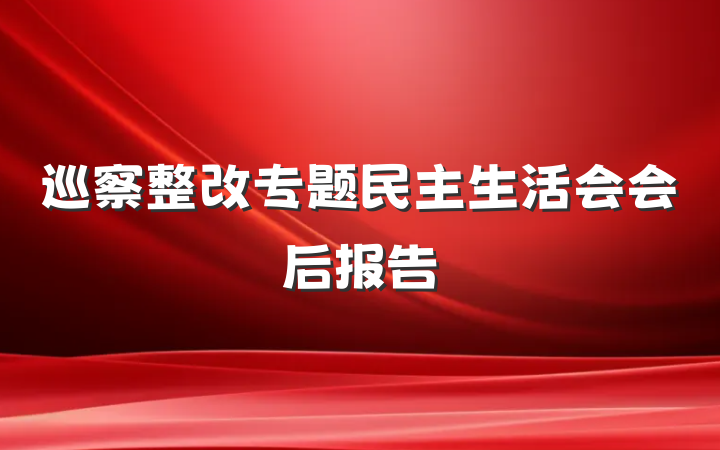 巡察整改专题民主生活会会后报告