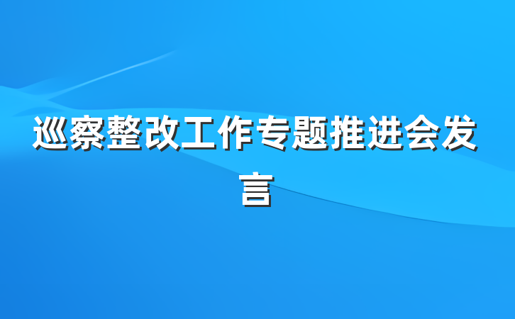 巡察整改工作专题推进会发言