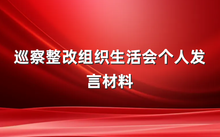 巡察整改组织生活会个人发言材料