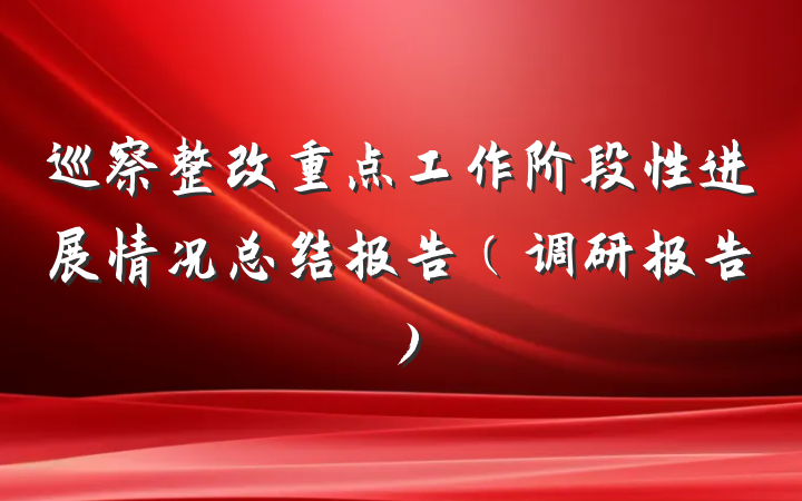 巡察整改重点工作阶段性进展情况总结报告（调研报告）