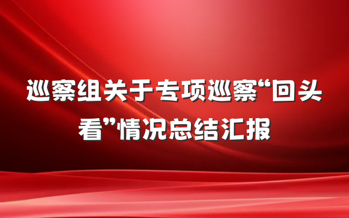 巡察组关于专项巡察“回头看”情况总结汇报