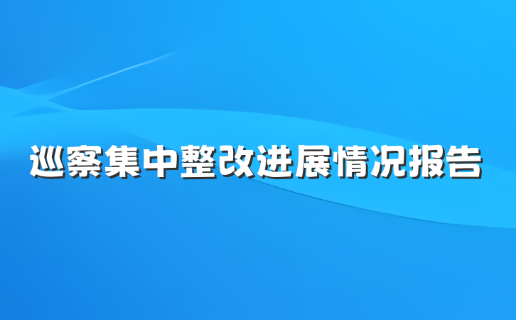 巡察集中整改进展情况报告