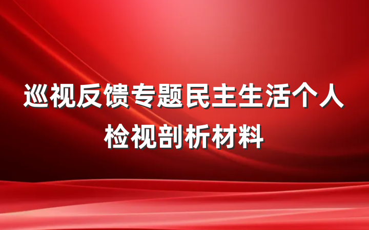 巡视反馈专题民主生活个人检视剖析材料