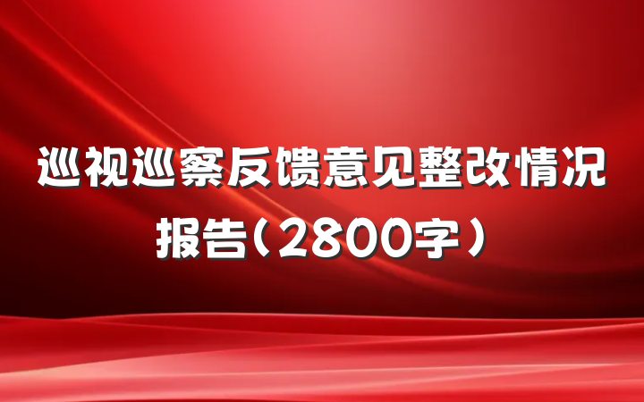 巡视巡察反馈意见整改情况报告（2800字）