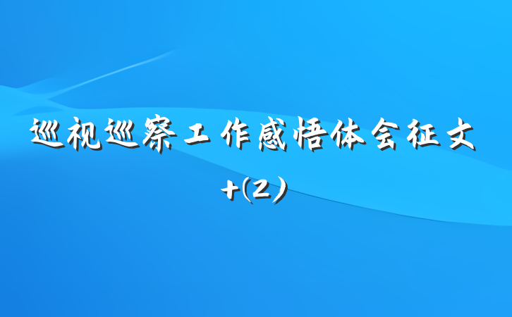 巡视巡察工作感悟体会征文 (2)