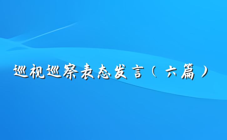 巡视巡察表态发言（六篇）