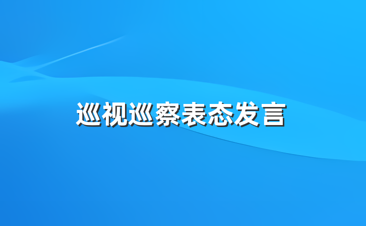 巡视巡察表态发言