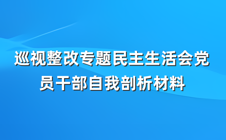 巡视整改专题民主生活会党员干部自我剖析材料