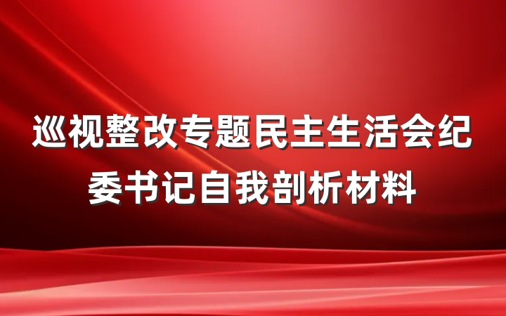 巡视整改专题民主生活会纪委书记自我剖析材料