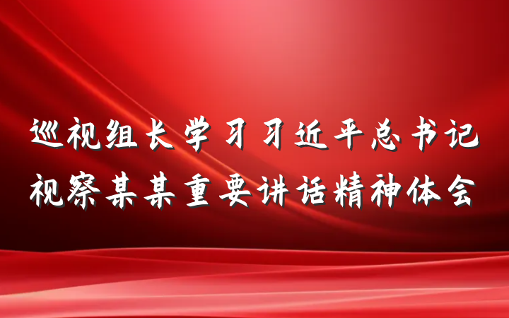 巡视组长学习习近平总书记视察某某重要讲话精神体会