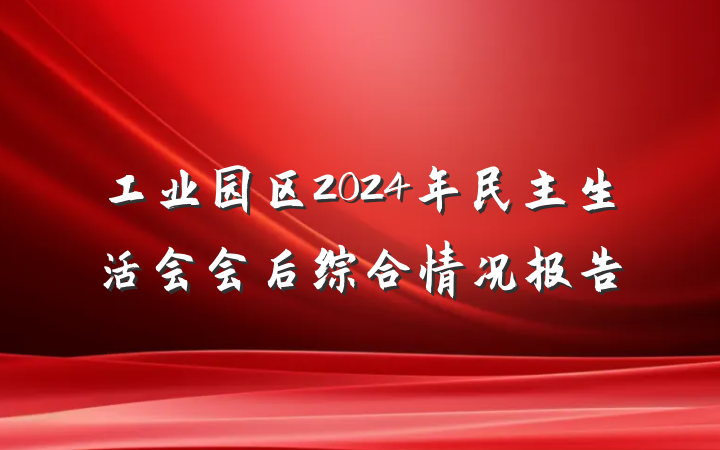 工业园区2024年民主生活会会后综合情况报告