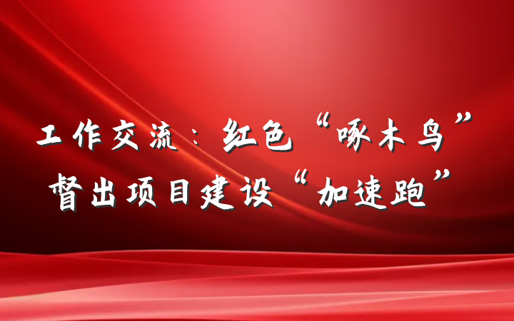 工作交流：红色“啄木鸟”督出项目建设“加速跑”