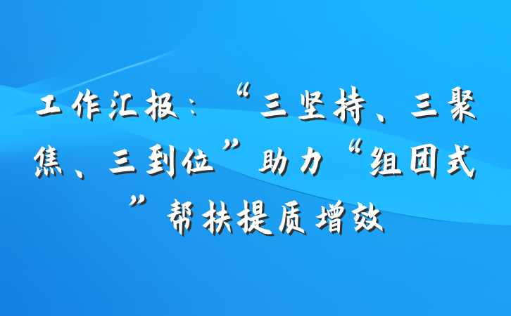 工作汇报：“三坚持、三聚焦、三到位”助力“组团式”帮扶提质增效