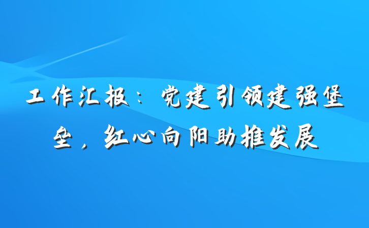 工作汇报：党建引领建强堡垒，红心向阳助推发展