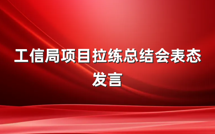 工信局项目拉练总结会表态发言