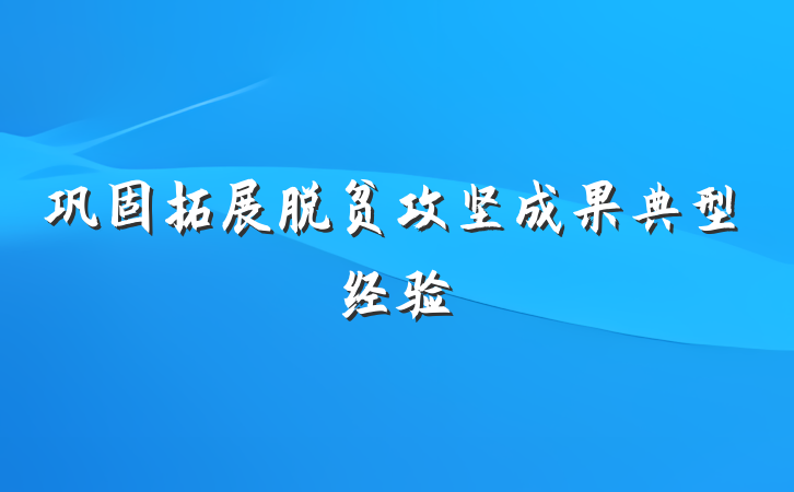 巩固拓展脱贫攻坚成果典型经验