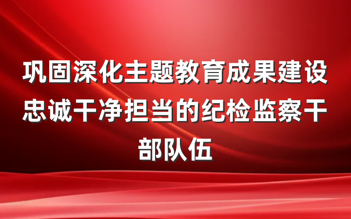 巩固深化主题教育成果建设忠诚干净担当的纪检监察干部队伍