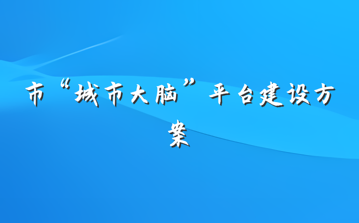 市“城市大脑”平台建设方案