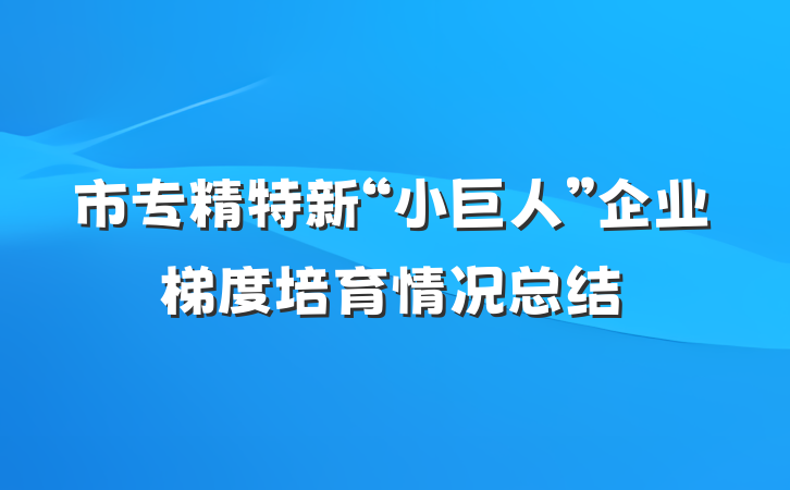 市专精特新“小巨人”企业梯度培育情况总结