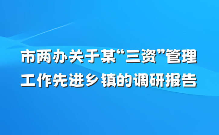 市两办关于某“三资”管理工作先进乡镇的调研报告