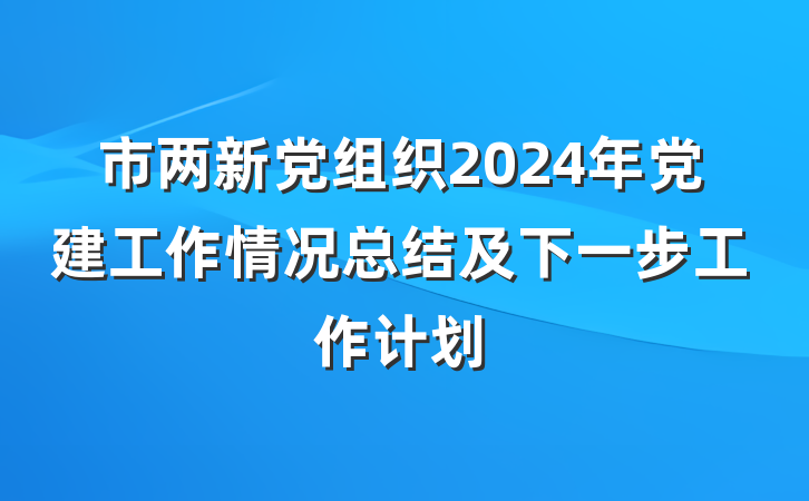 市两新党组织2024年党建工作情况总结及下一步工作计划