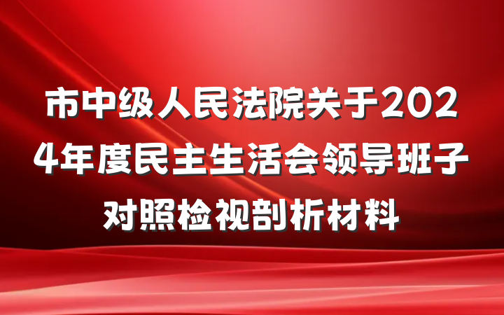 市中级人民法院关于2024年度民主生活会领导班子对照检视剖析材料