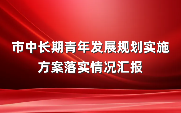 市中长期青年发展规划实施方案落实情况汇报
