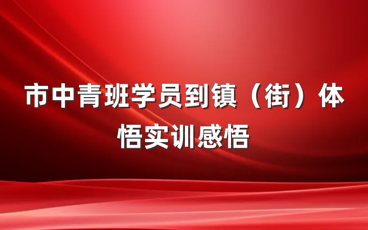 市中青班学员到镇（街）体悟实训感悟