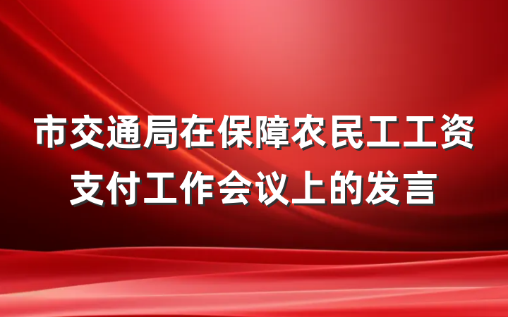 市交通局在保障农民工工资支付工作会议上的发言