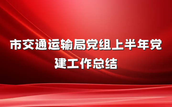 市交通运输局党组上半年党建工作总结