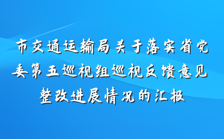 市交通运输局关于落实省党委第五巡视组巡视反馈意见整改进展情况的汇报