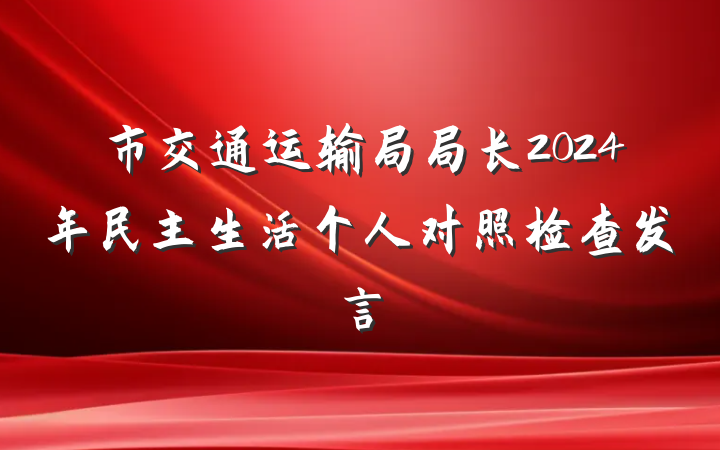 市交通运输局局长2024年民主生活个人对照检查发言