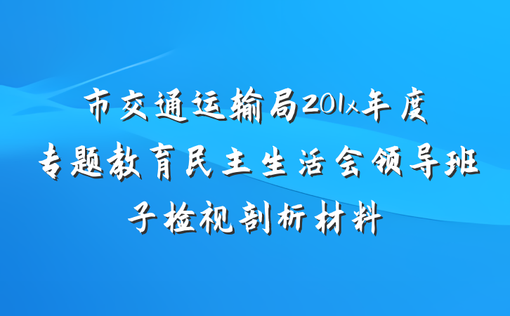 市交通运输局201x年度专题教育民主生活会领导班子检视剖析材料