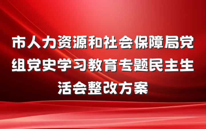 市人力资源和社会保障局党组党史学习教育专题民主生活会整改方案