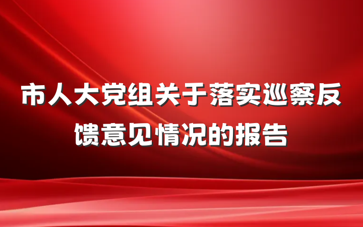 市人大党组关于落实巡察反馈意见情况的报告