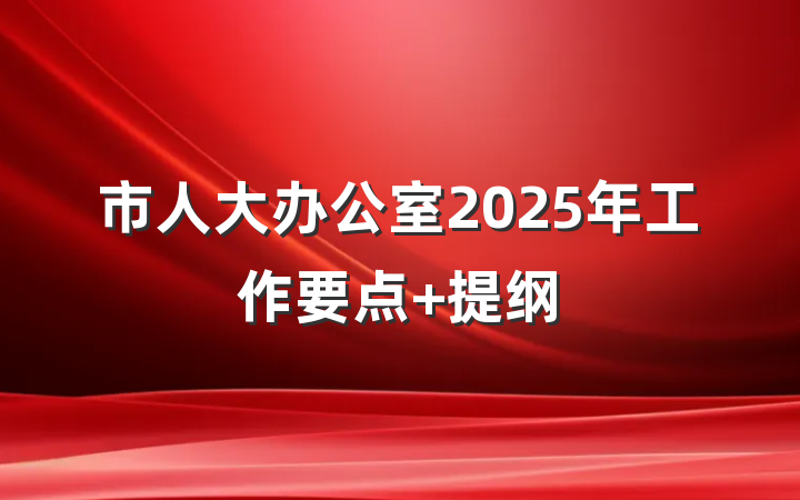 市人大办公室2025年工作要点 提纲