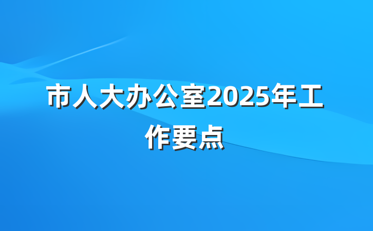 市人大办公室2025年工作要点
