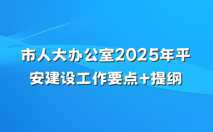 市人大办公室2025年平安建设工作要点 提纲