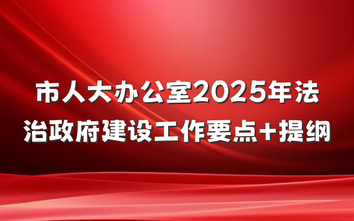 市人大办公室2025年法治政府建设工作要点 提纲