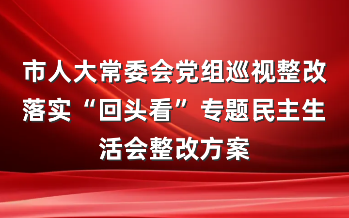市人大常委会党组巡视整改落实“回头看”专题民主生活会整改方案