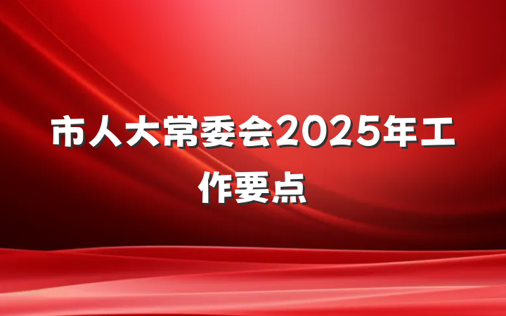 市人大常委会2025年工作要点