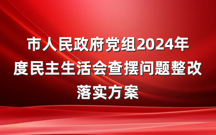 市人民政府党组2024年度民主生活会查摆问题整改落实方案