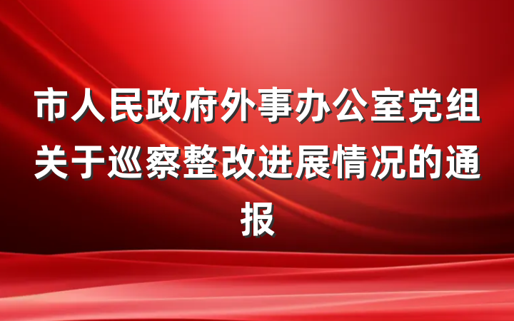 市人民政府外事办公室党组关于巡察整改进展情况的通报