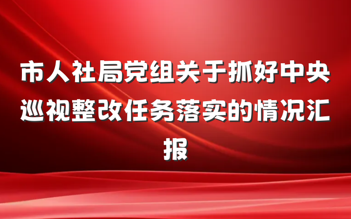 市人社局党组关于抓好中央巡视整改任务落实的情况汇报