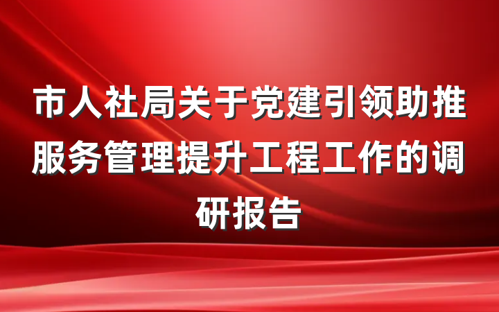 市人社局关于党建引领助推服务管理提升工程工作的调研报告