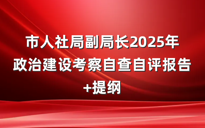 市人社局副局长2025年政治建设考察自查自评报告 提纲