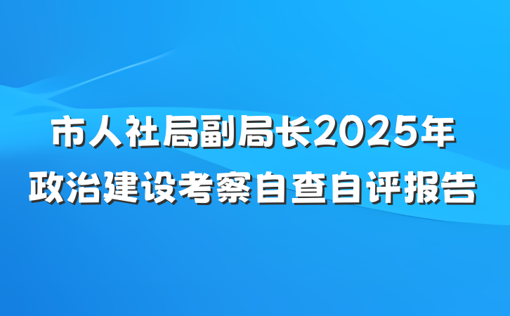 市人社局副局长2025年政治建设考察自查自评报告